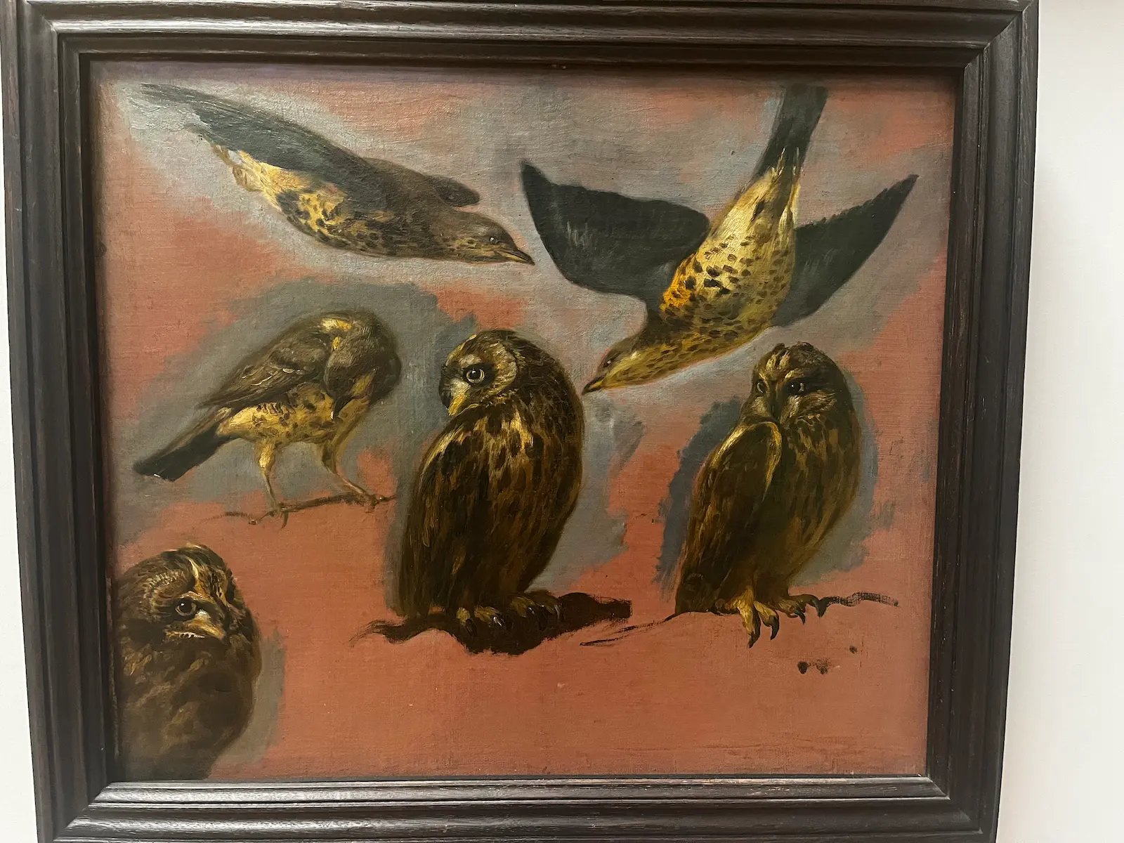 Animals of the Louvre, Musée du Louvre