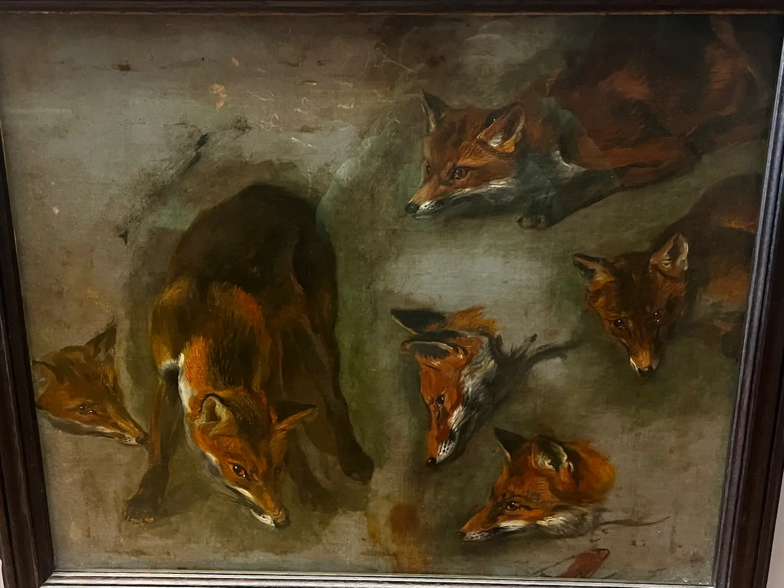 Animals of the Louvre, Musée du Louvre